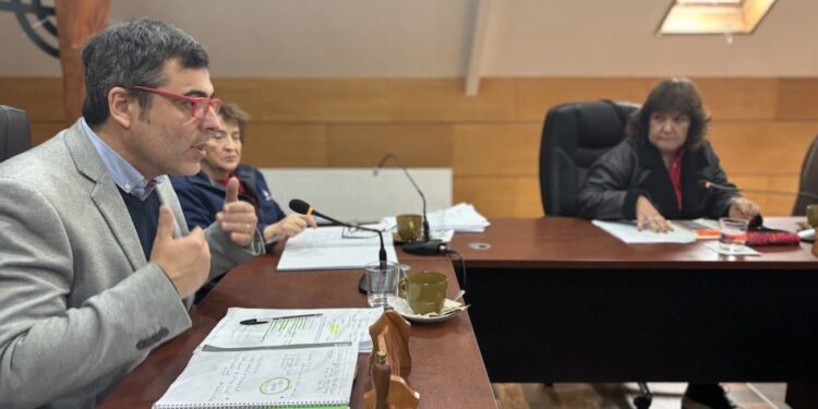 La concejala Castillo dispondrá del espacio para la feria de emprendedores – LAVOZDEPUCON