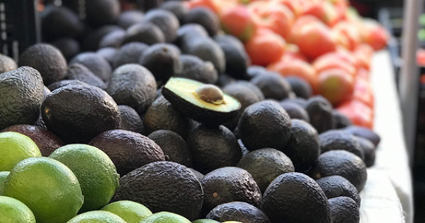 Palta peruana en la mira: Chile refuerza supervisión por alertas sanitarias.