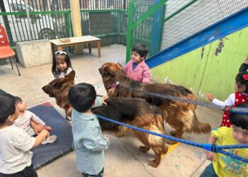 Recopatitas potencia el bienestar de humanos y animales en Recoleta.