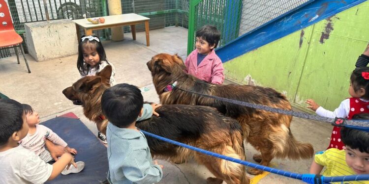 Recopatitas potencia el bienestar de humanos y animales en Recoleta.
