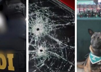 Resumen semanal de noticias en Chicureo de esta semana