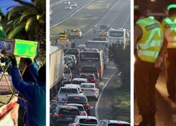 Resumen semanal de noticias en Chicureo esta semana