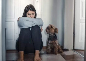 Estudio revela que 1 de cada 4 personas en el mundo vive sola.