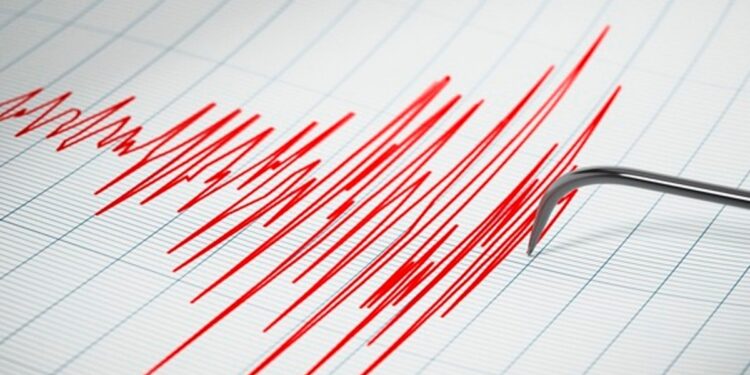 Shoa descarta la posibilidad de un tsunami en las costas del país tras el sismo de magnitud 5.0 en la Antártica chilena.