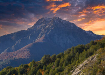 San Clemente conmemora el Día de Vilches 2025 a través de la cultura, la gastronomía y la conexión con la naturaleza.