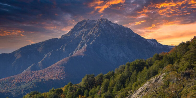 San Clemente conmemora el Día de Vilches 2025 a través de la cultura, la gastronomía y la conexión con la naturaleza.