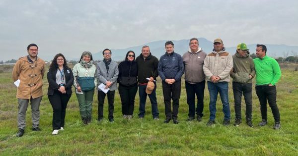 Autoridades hacen recorrida por Cooperativa Agrícola de Lampa y resaltan su influencia en la comunidad.