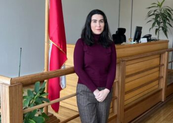 Proceso opcional para la declaración de interdicción por demencia.