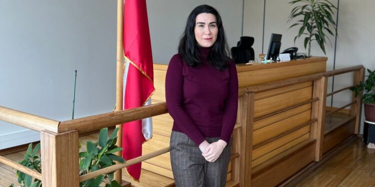 Proceso opcional para la declaración de interdicción por demencia.