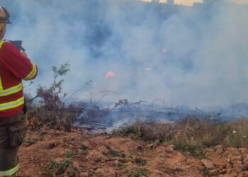 Conaf limita las quemas controladas en toda la región del Biobío hasta nuevo aviso.