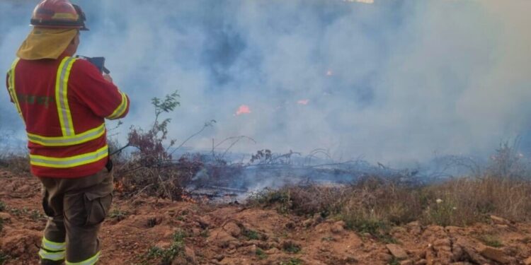 Conaf limita las quemas controladas en toda la región del Biobío hasta nuevo aviso.