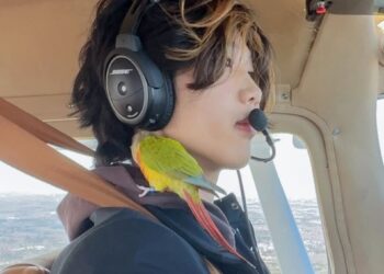 Piloto estadounidense Ethan Guo se marcha de la Antártica tras haber aterrizado sin autorización.