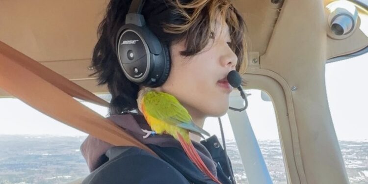 Piloto estadounidense Ethan Guo se marcha de la Antártica tras haber aterrizado sin autorización.