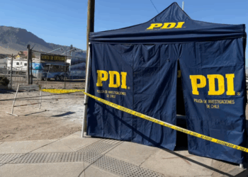 Antofagasta: Mujer y su perro pierden la vida por electrocución a causa de un cable expuesto en la calle.