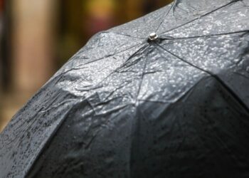 Temperaturas elevadas y precipitaciones caracterizarán el inicio de octubre en la Provincia del Biobío.