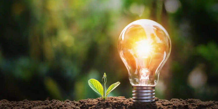 Región del Maule líder en sostenibilidad: establece un consejo regional único en Chile.