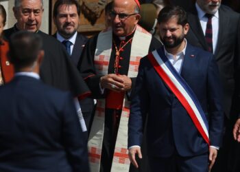 En el Tedeum, Chomali describe el aborto y la eutanasia como «leyes manifiestamente injustas».