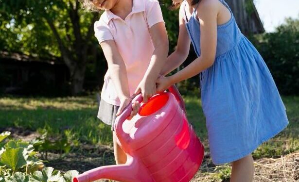 La primavera y la curiosidad de los cabros chicos