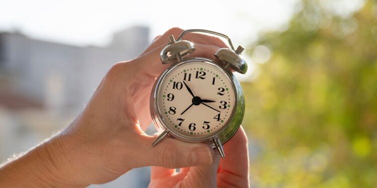 Expertos dan tips para una mejor adaptación en Chile