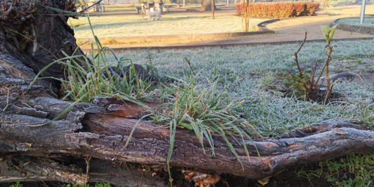 Se anticipan temperaturas mínimas de hasta -2°C en la Provincia del Biobío para este jueves.