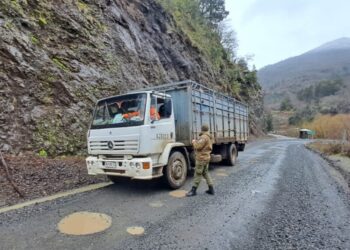 Lanzan campaña de prevención contra el abigeato en Alto Biobío.
