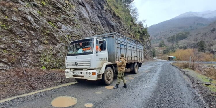 Lanzan campaña de prevención contra el abigeato en Alto Biobío.