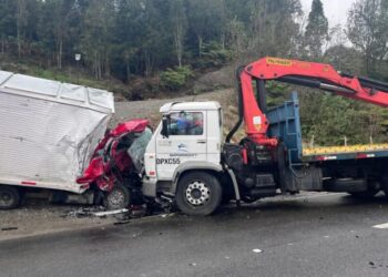 Tragedia en Hualaihué: colisión frontal entre dos camiones cobra la vida de una persona.