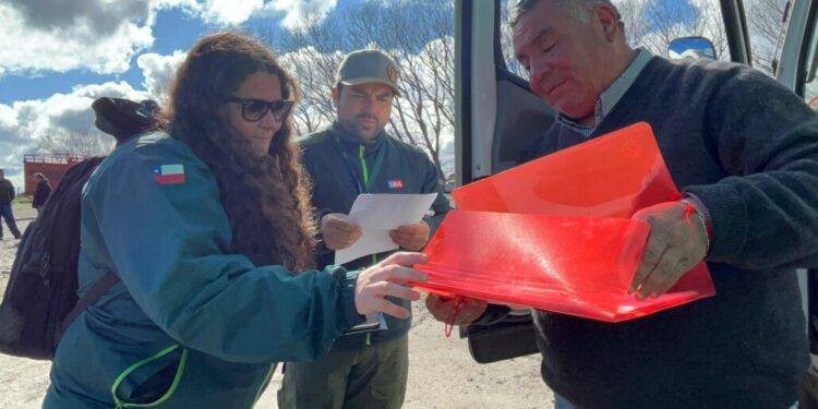 Inician las fiscalizaciones a ferias en Los Ángeles antes de las Fiestas Patrias.