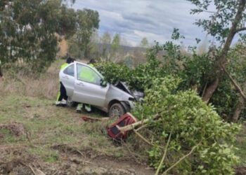 Hombre fallece tras chocar contra un árbol en transitada ruta de Los Ríos.