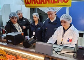Más de 450 kilos de carne incautada y siete sumarios resultan de la fiscalización previa a las Fiestas Patrias en la Provincia de Biobío.