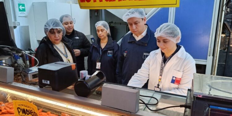 Más de 450 kilos de carne incautada y siete sumarios resultan de la fiscalización previa a las Fiestas Patrias en la Provincia de Biobío.