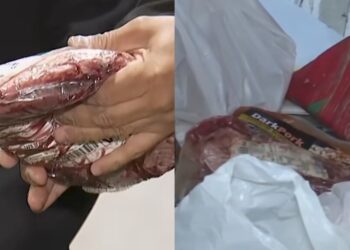 Allanamientos en cárceles del Biobío y a nivel nacional: hallan celulares, carne y alcohol ocultos.