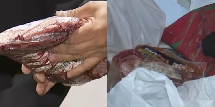 Allanamientos en cárceles del Biobío y a nivel nacional: hallan celulares, carne y alcohol ocultos.