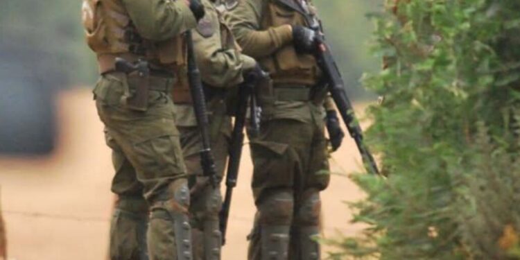 Atentado con incendio causa vehículos dañados y una bodega destruida en Malleco, con reportes de disparos.