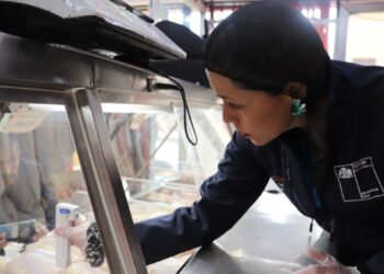 Se han decomisado más de 2 toneladas de alimentos durante las fiscalizaciones de la Seremi de Salud por las Fiestas Patrias en la V Región.