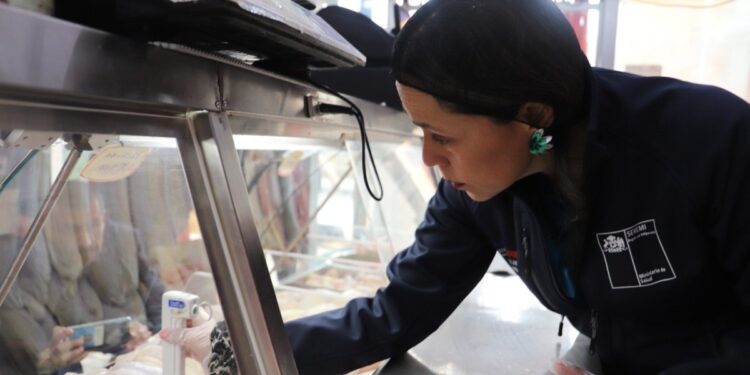 Se han decomisado más de 2 toneladas de alimentos durante las fiscalizaciones de la Seremi de Salud por las Fiestas Patrias en la V Región.