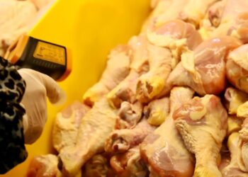 Fortalecen las inspecciones en carnicerías de Quillota para garantizar la seguridad alimentaria de cara a las Fiestas Patrias.