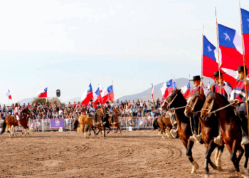 Este viernes, ¡no te pierdas el espectáculo ecuestre gratuito de Palmas de Peñaflor en Colina!
