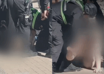 Indagan la muerte de un cabro en el Mall Plaza Vespucio tras la intervención de los guardias de seguridad.