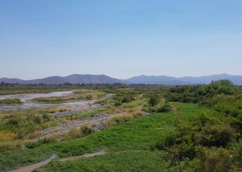 Río Maipo en Melipilla es reconocido como humedal urbano.