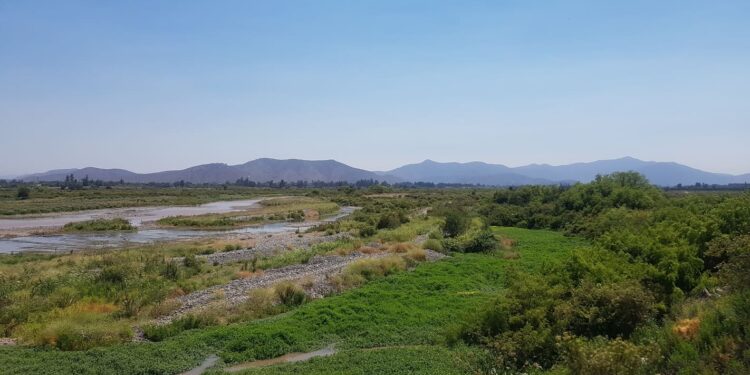 Río Maipo en Melipilla es reconocido como humedal urbano.