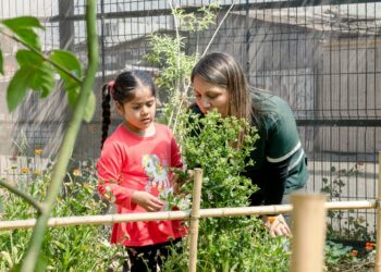 Mi Patio es el Mundo 2025: Proyectos sustentables para niñxs