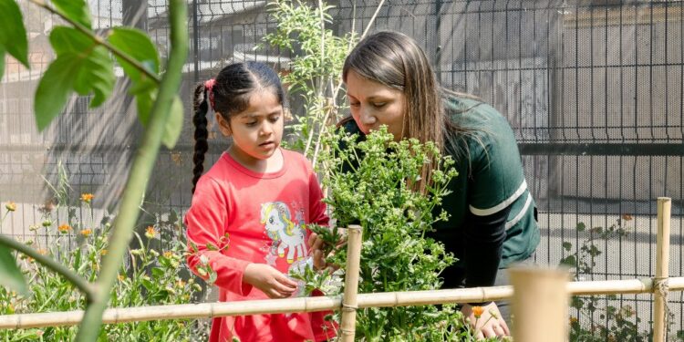 Mi Patio es el Mundo 2025: Proyectos sustentables para niñxs
