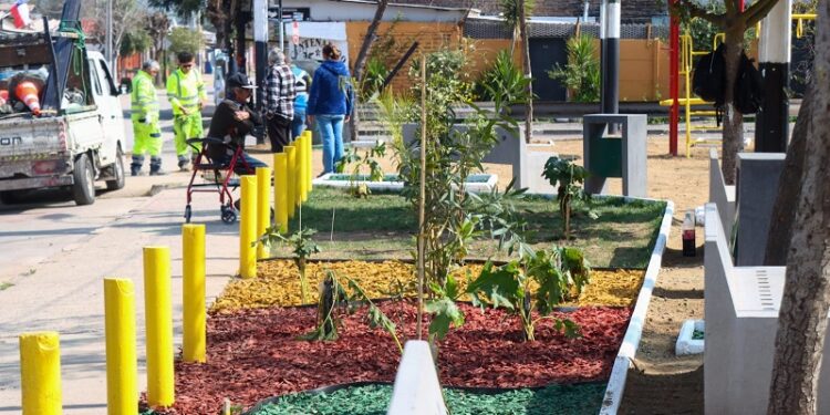 San Bernardo: equipos municipales están haciendo limpieza, bacheo, despeje y mejoras en el sector oriente de la comuna.