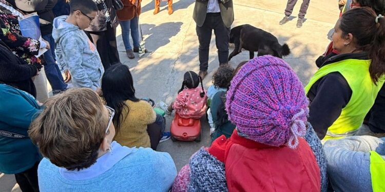 Semáforo muy esperado comienza a funcionar en Av. La Victoria.