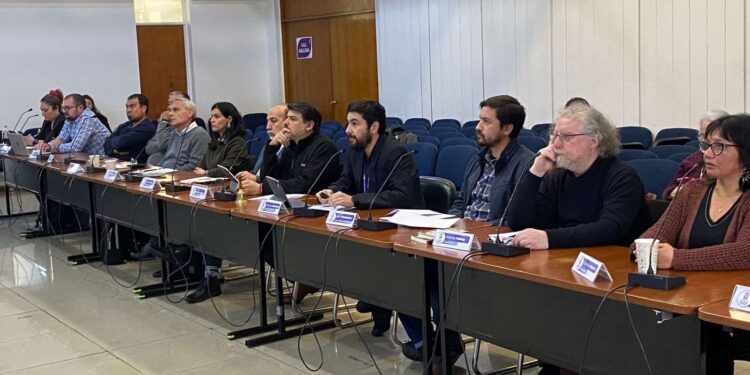 Consejo de Revitalización Urbana en Estación Central