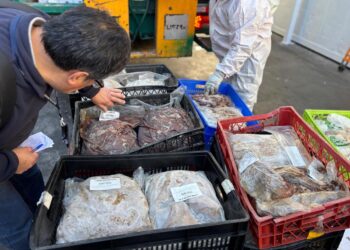 Recoleta cierra un frigorífico ilegal y confiscó toda su carne.