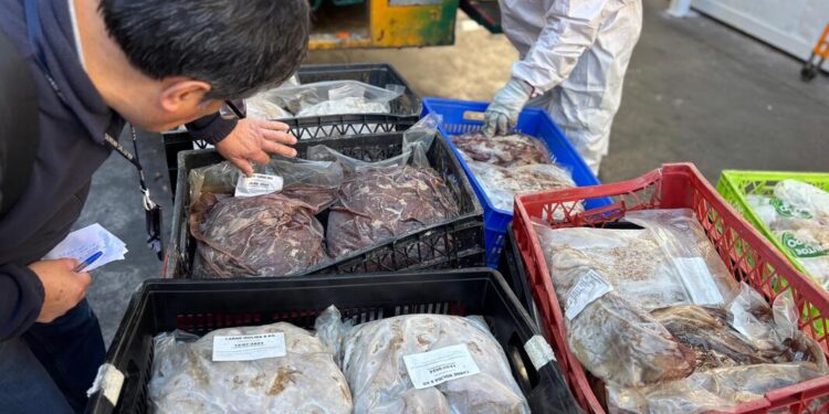 Recoleta cierra un frigorífico ilegal y confiscó toda su carne.