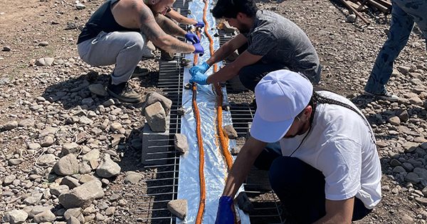 ¡Récord dieciochero en Colina! Fonda vegana prepara el choripán más largo del mundo en el Santuario Empatía.