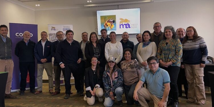 El Comité Estratégico Maule Apícola de Corfo se reunió para planificar el futuro del sector.